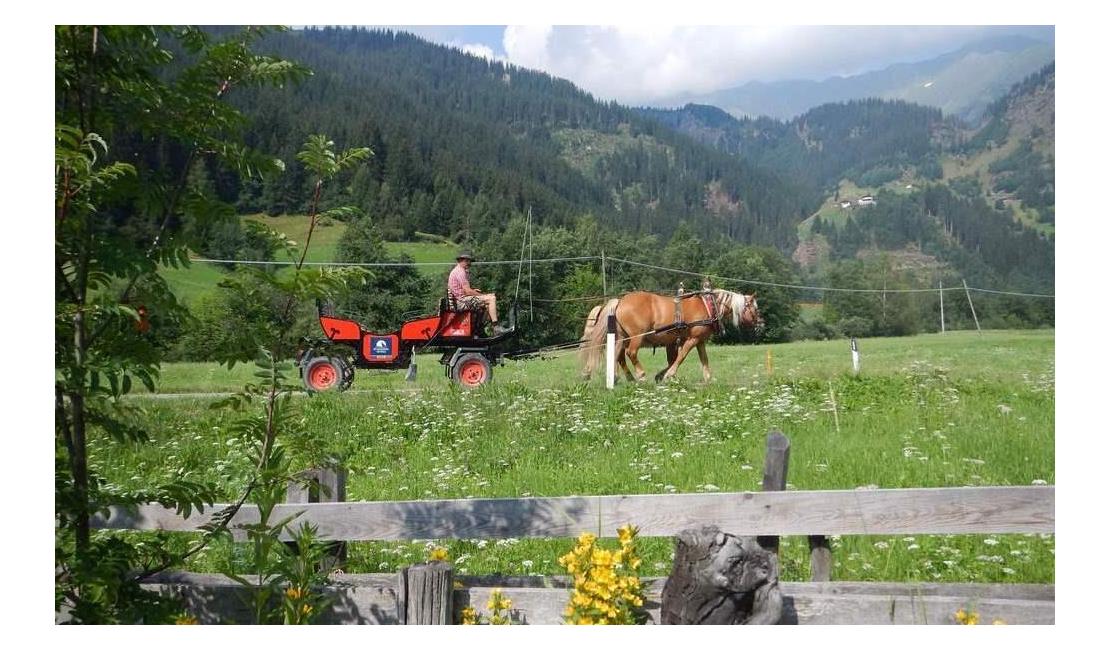 pferdeschlittenfahrt2