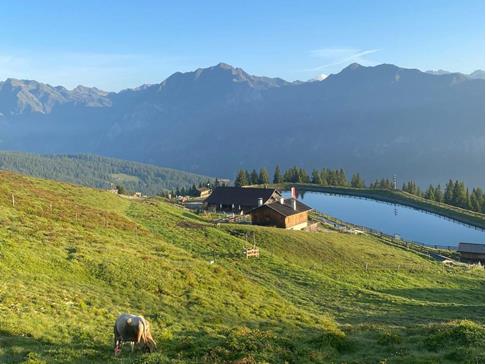 Rinneralm