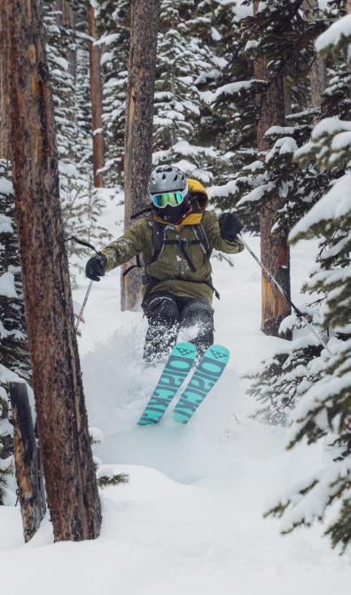 person-skiing-between-trees-3680085